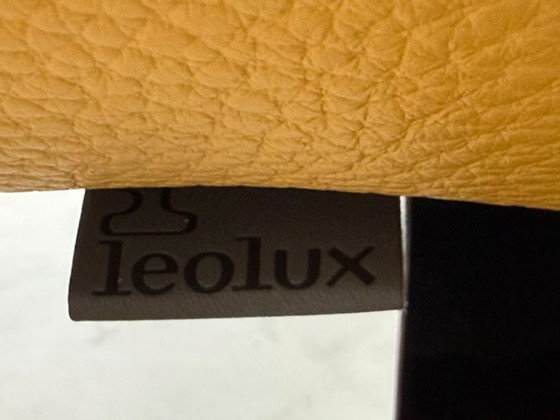 Leolux Tango Divano in Pelle Design Classico – Divani, Metallo (photo 17 of 17)