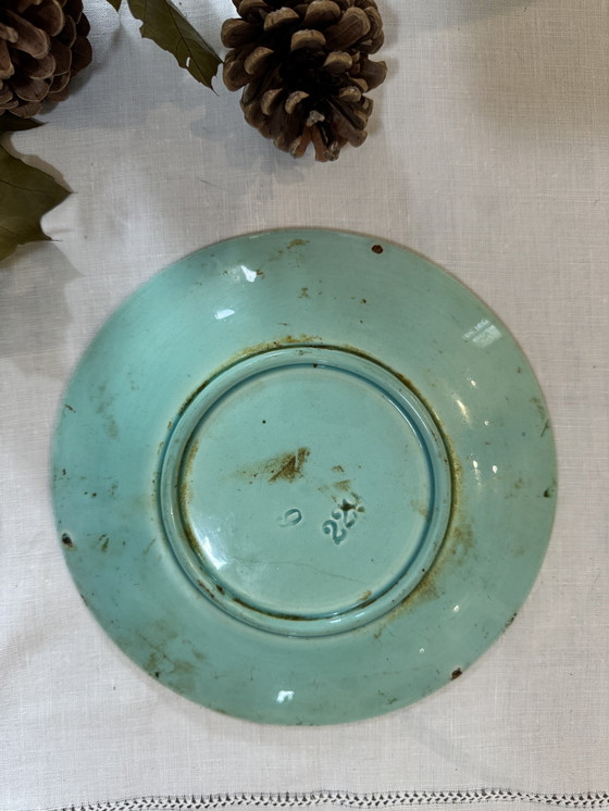 Image 1 of Placa de escarabajo barbotino