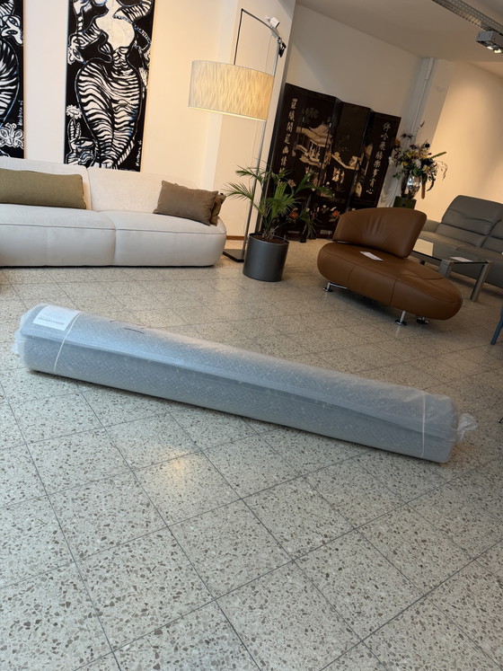 Bosque de pinos Brink y Campman Rocks 70547 Nuevo – Brink & Campman, Alfombras, Wool (photo 12 of 13)