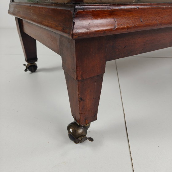 Image 1 of Vetrina/bancone di negozio inglese (1910–1920)