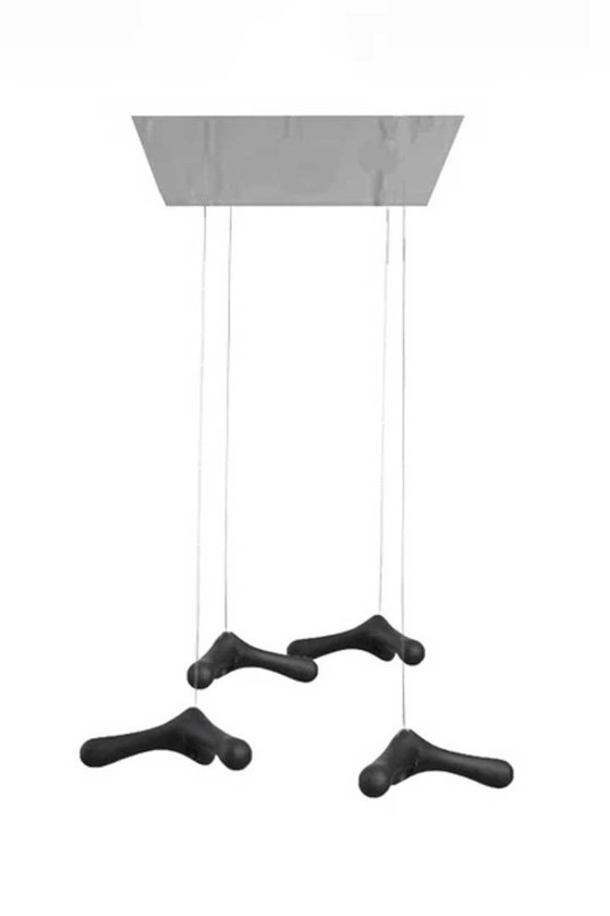 Image 1 of Flying Hooks Kapstok Design Bos and Couvée