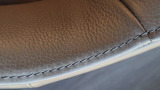 Enset DS-279 S/4 – de Sede, Esszimmerstühle, Leather, Modern (photo 6 of 7)
