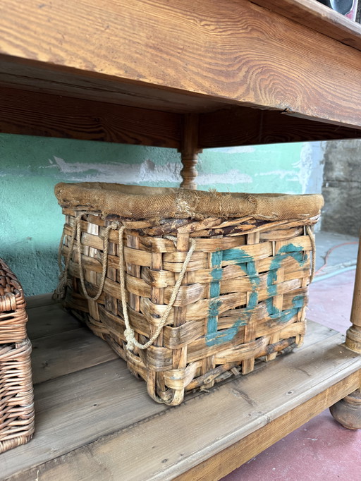 Cesta castagno da raccolta