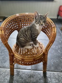 Hochstuhl aus Rattan