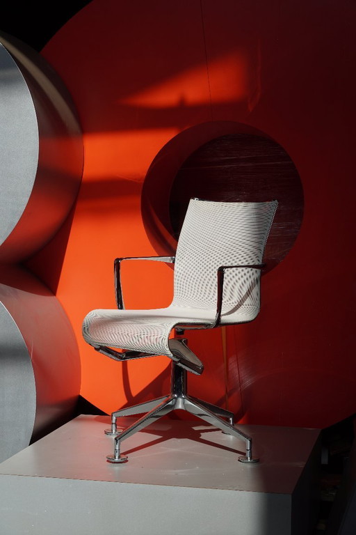 White chair: Alias ​​model 437, self-adjusting swivel chair with armrests and a four-star base with glides.