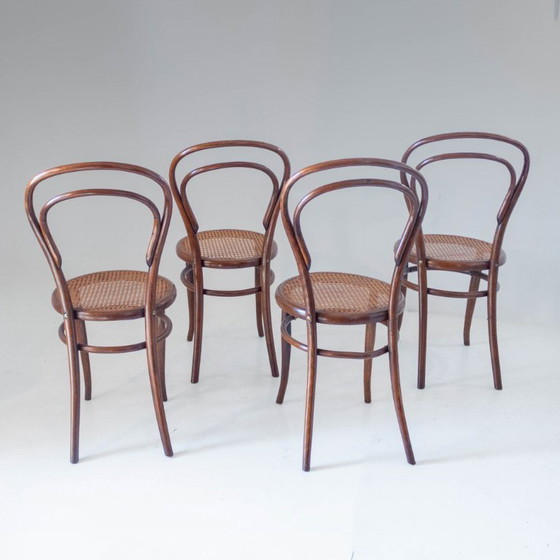 Image 1 of Set van vier eetkamerstoelen uit de jaren 1900, gemaakt van gebogen hout en riet door Josef Hoffmann, met label.