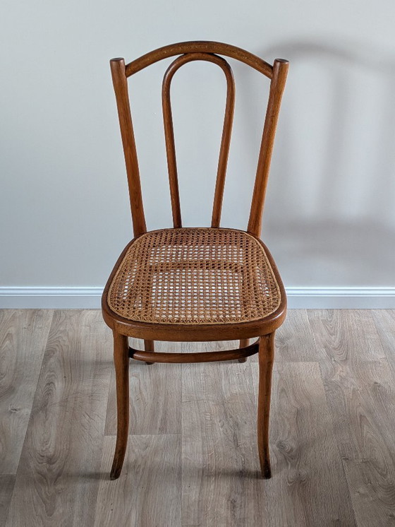 Image 1 of Originele Thonet 56 gebogen houten stoel – Vintage designklassieker