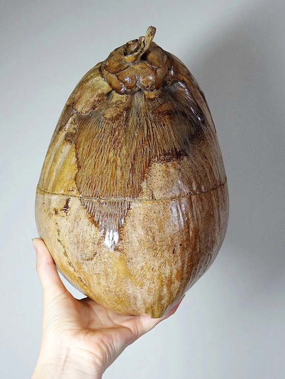 Scatola curiosa vintage anni '50-'60, secchiello per ghiaccio in cocco naturalizzato., Accessori da tavola (foto 7 di 14)