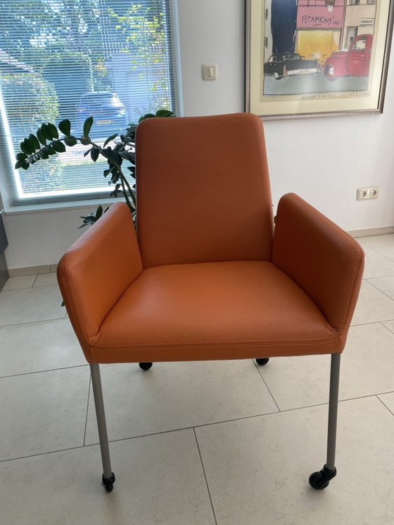 6 Leather Dining Chairs Bert Plantagie – Metal (photo 4 of 5)