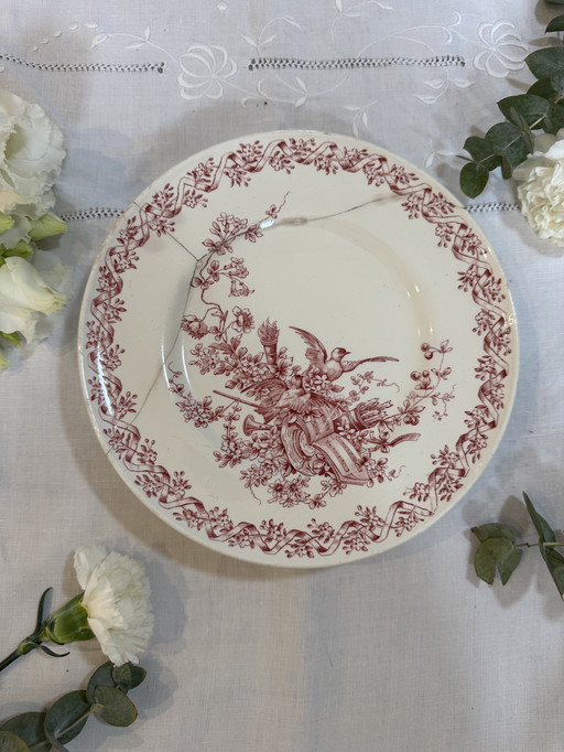 Coupe sur pied Longwy