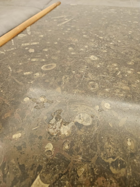 Image 1 of Ronald Schmitt Salontafel Fossielen