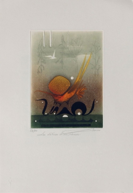 Image 1 of Renée LUBAROW, Deliri di un sognatore, acquaforte firmata, 1990
