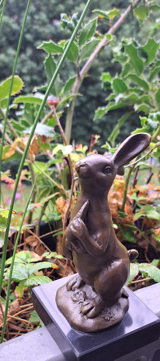 Bronzestatue eines Hasen mit Karotte – Bildhauerei (photo 7 of 9)