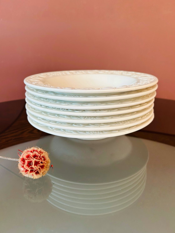 Image 1 of 🤍SET VAN 7 QUDROFOGLIO DIEPE BORDEN🤍