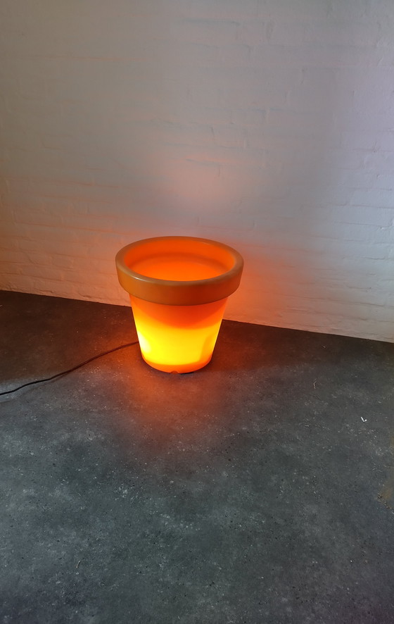 Image 1 of Bloom - Maceta / Enfriador de bebidas 40 cm