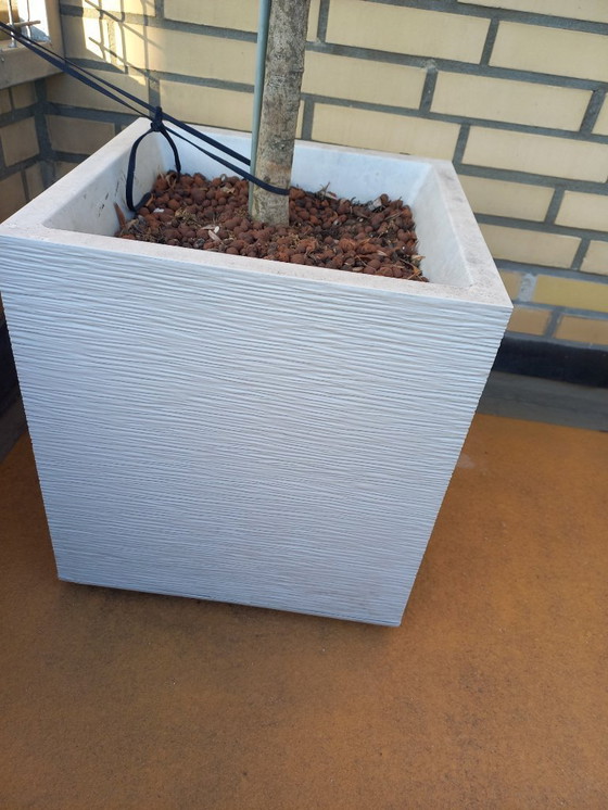 Image 1 of 2 x white planters elho