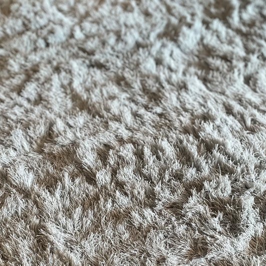 Image 1 of Millenerpoort Bella Alto Teppich - 300x200