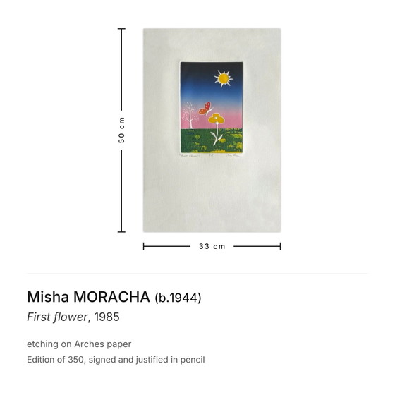 Gesigneerde ets van Misha Moracha, Eerste Bloem, 1985 – Litho's & Zeefdrukken, Paper (photo 3 of 5)