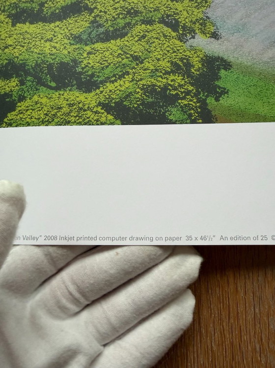 David Hockney, Green Valley, 2008, Copyright David Hockney, Gedruckt in Großbritannien, Kunstdrucke, Papier (Foto 3 von 9)
