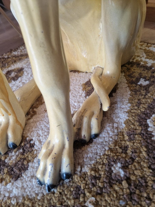 Bassano Greyhound