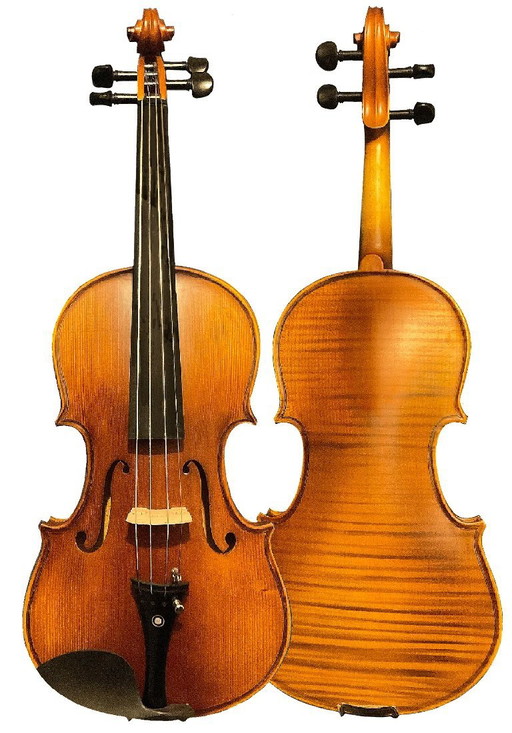4/4 viool - viool