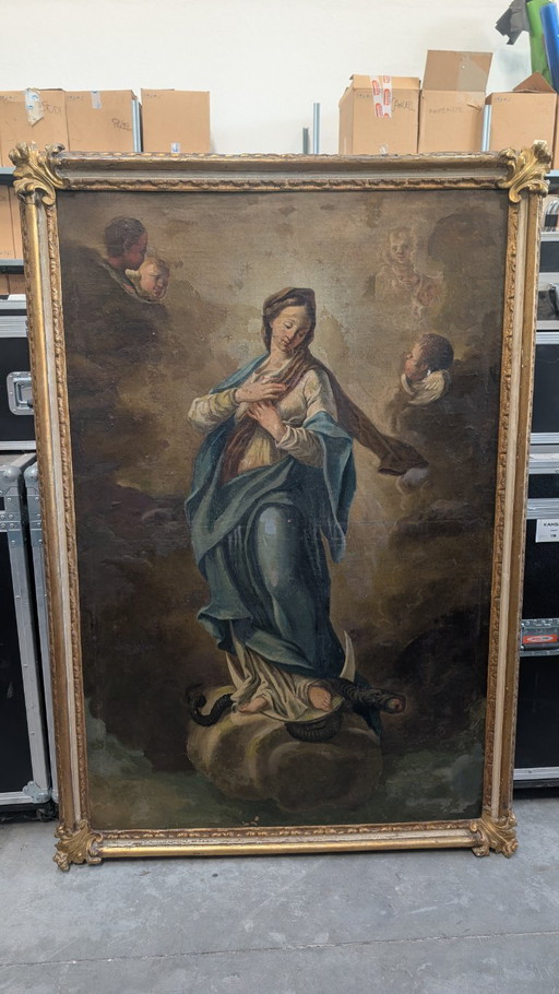 Pittore XVIII secolo: Immacolata Concezione Oil Painting 