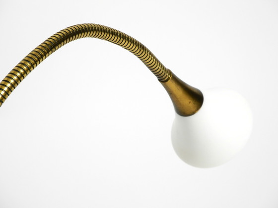 Image 1 of 1980s Brass Halogen Table Lamp by Florian Schulz Model Esa with Gooseneck
