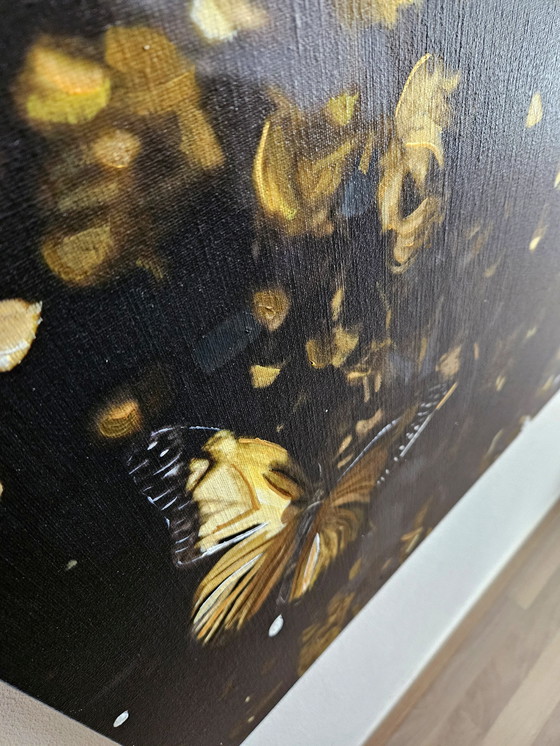 Image 1 of Wouter van Donselaar - Visage 059