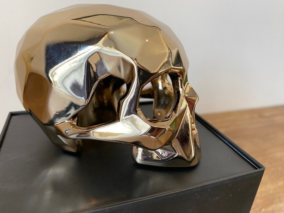 Image 1 of Richard Orlinski SKULL SPIRIT skull 2021