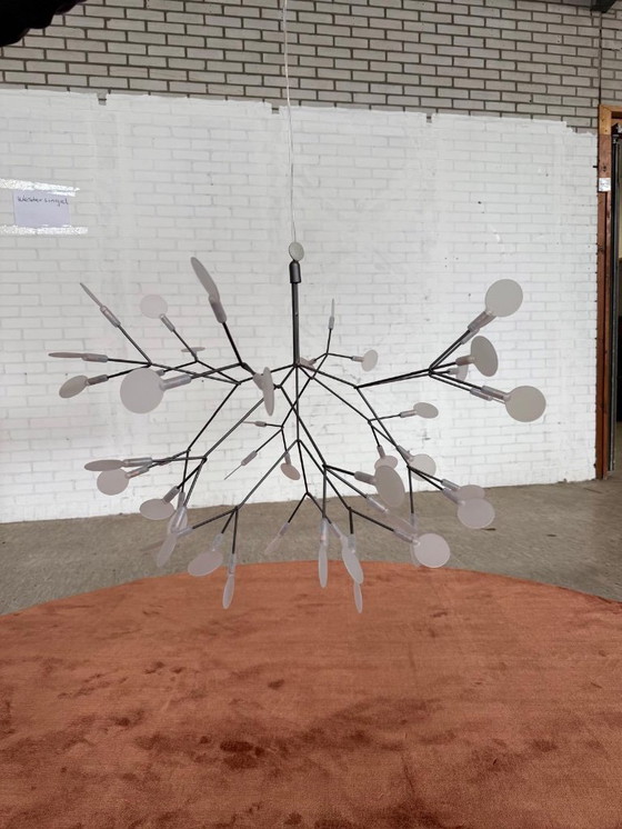 Image 1 of Moooi Heracleum II piccolo nichel