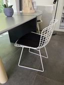 Knoll Bertoya chairs