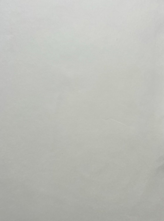 Image 1 of Sérigraphie Bettina Lopetro