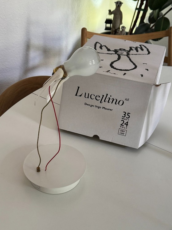 Set di 2 Applique Ingo Maurer Lucellino NT, 24V – Bronze (photo 7 of 9)