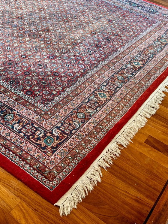 Image 1 of Noué à la main - Tapis persan Bidjar - 251 x 240 cm