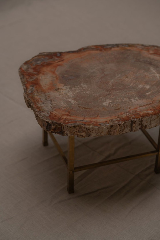 Image 1 of Table basse rare en bois pétrifié - années 1970