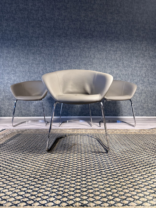 4x Chaise Arper Duna Design by Lievore Altherr Molina, ca2014