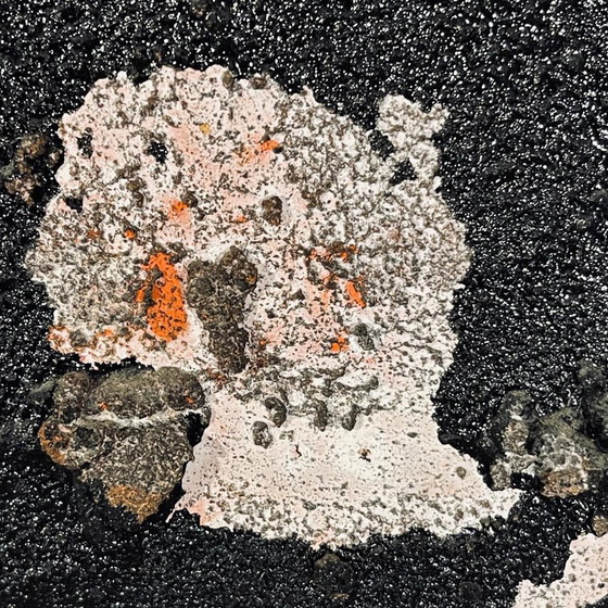 Louis-Marie Londot, Huile et Concrétions sur Panneau N° 16, 1963, Technique Mixte – Peintures et dessins (photo 7 of 11)