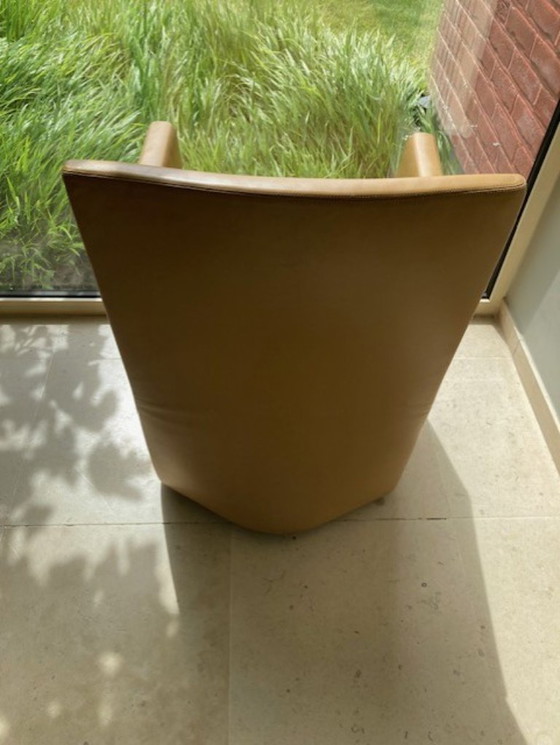 Sedie Baliri Italia in pelle – Baleri Italia, Poltrone, Leather, Plastic (photo 4 of 7)