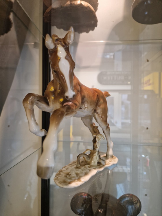 Image 1 of Hutschenreuther Kunstabteilung – Steigerend Paard | Porselein | ca. 1950–1970
