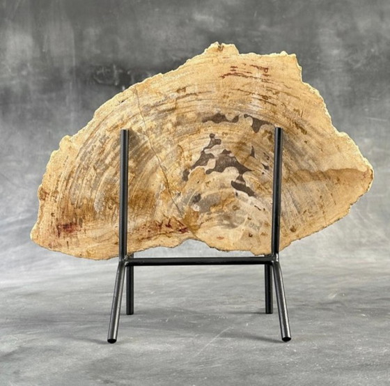Image 1 of Bois fossilisé de Sooka, fabrication sur mesure standard (neuf)