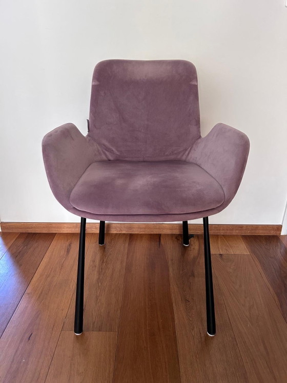 Zuiver Armchair 2 X – Metal, Velvet (photo 6 of 7)