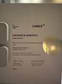 Lumas - Foto di Larry Yust 2011. Wellington Street