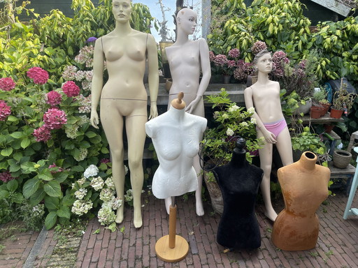 Various mannequins