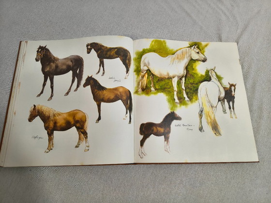 Image 1 of Rien Poortvlier   Het Brieschend Paard   1978