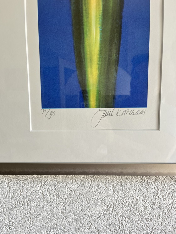 3 Signed Amaryllis Works by Juul Kortkaas – 71/90 – Framed – Lithographs & prints, Paper (photo 7 of 7)