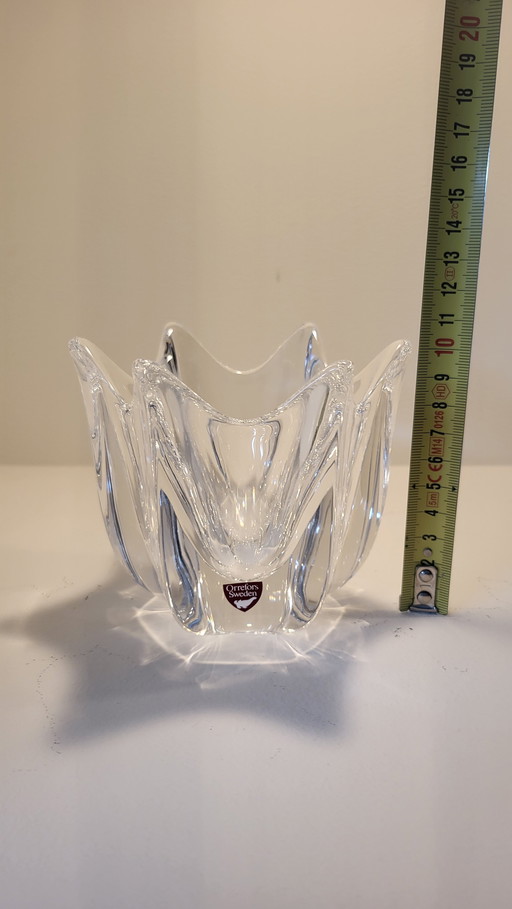 Tulipán Orrefors Belle