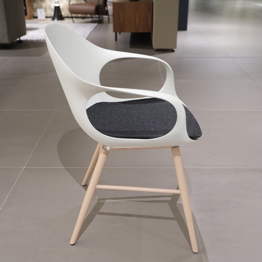 Chaise de salle à manger Kristalia Elephant (lot de 6)