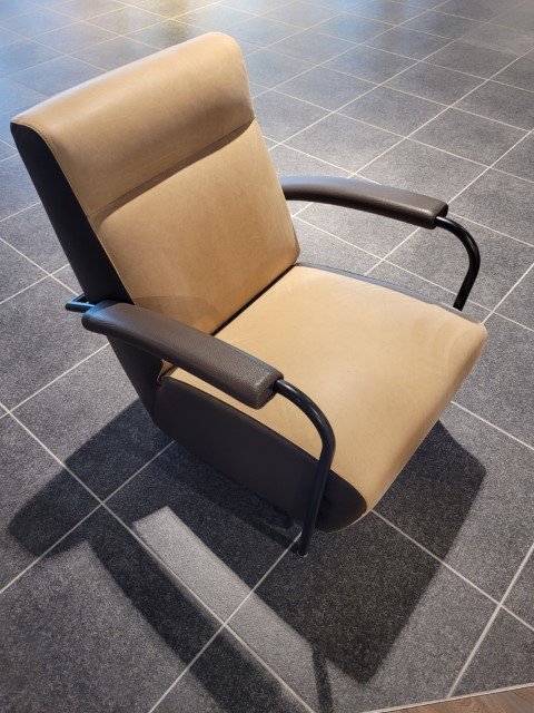 Leolux Scylla armchair