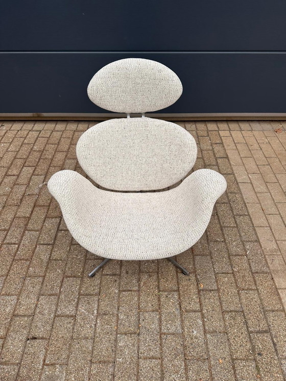 Image 1 of Artifort Big Tulip 1ª Edición 1958 Pierre Paulin, ¡¡¡Impecable estado nuevo!!!