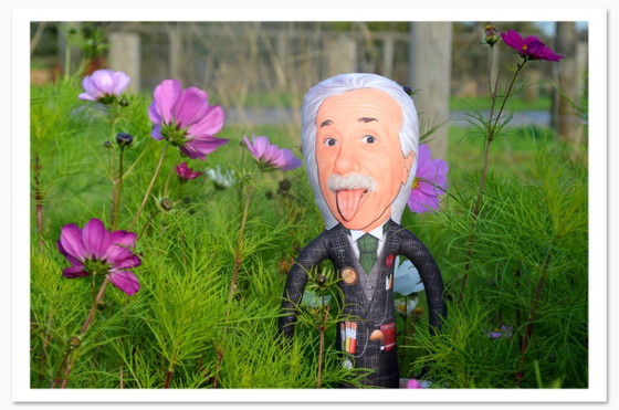 Image 1 of Sculpture scientifique d'Albert Einstein | Poupée d'art design | Objet de décoration intellectuel